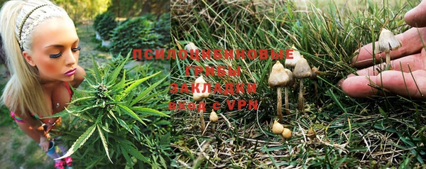 крисы Лихославль