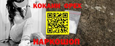 прущие крисы Кандалакша