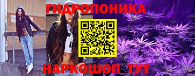 стаф Камышлов