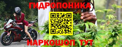 прущие крисы Кандалакша