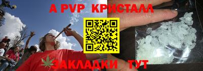 стаф Камышлов
