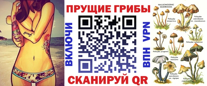 Псилоцибиновые грибы Cubensis  Новочебоксарск 