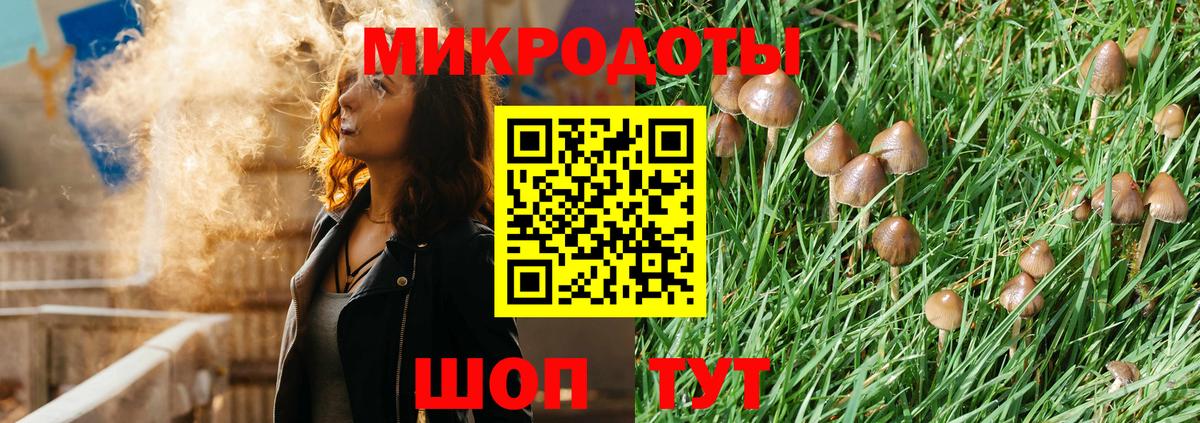 Псилоцибиновые грибы MAGIC MUSHROOMS Новочебоксарск