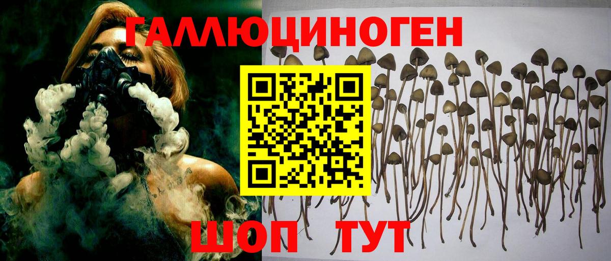 Галлюциногенные грибы прущие грибы  Вход с VPN  Галлюциногенные грибы MAGIC MUSHROOMS  Новочебоксарск 
